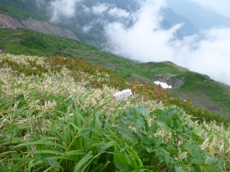 d0170615_16224441.jpg