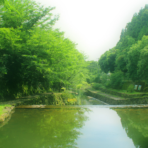 a0329820_19061304.jpg