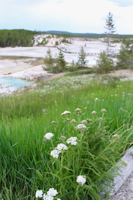 f0151222_10114113.jpg