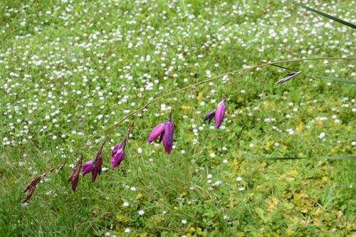 c0107129_212164.jpg
