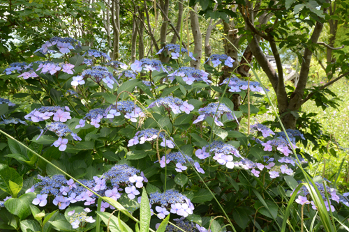 c0107129_298100.jpg