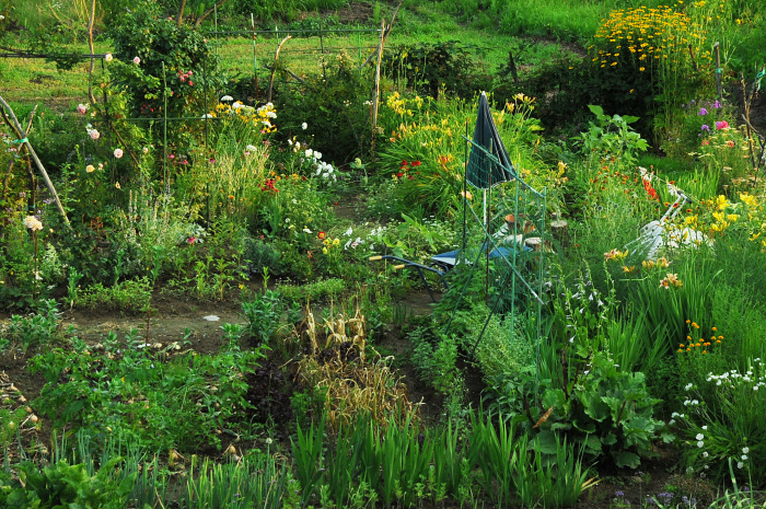 c0172234_00142447.jpg