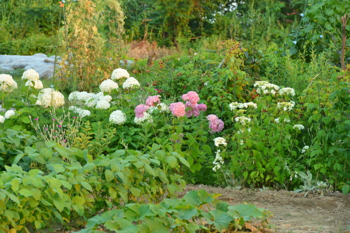 c0172234_21361763.jpg