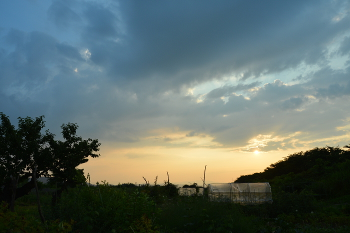 c0172234_21424647.jpg