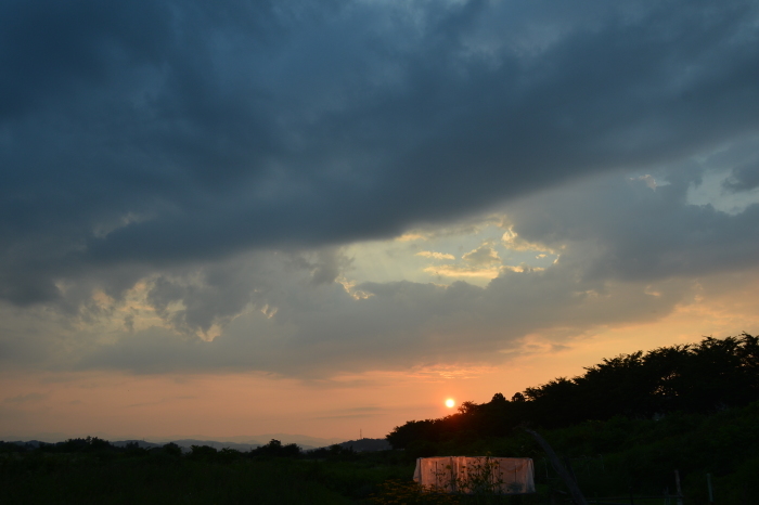 c0172234_21425480.jpg