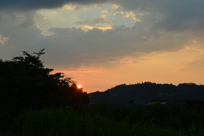 c0172234_21430020.jpg