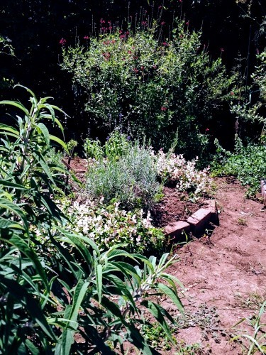 f0042637_17501714.jpg