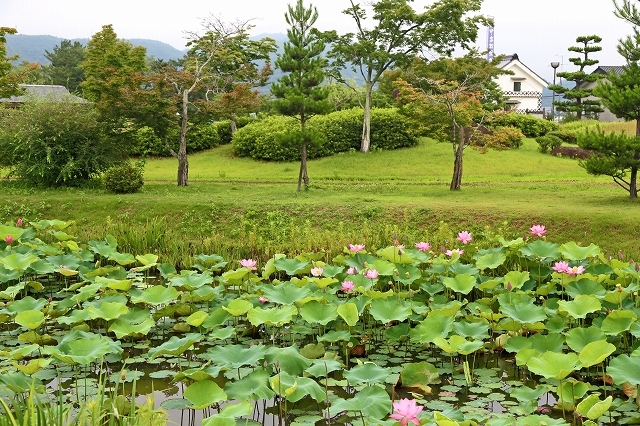 a0242438_21481816.jpg