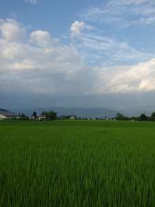 a0014840_2232755.jpg