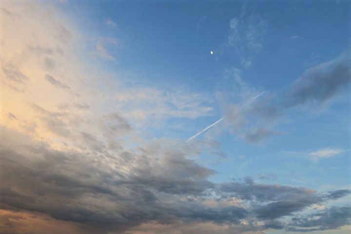 e0300042_23284527.jpg