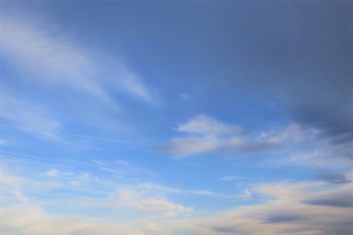 e0300042_23322542.jpg