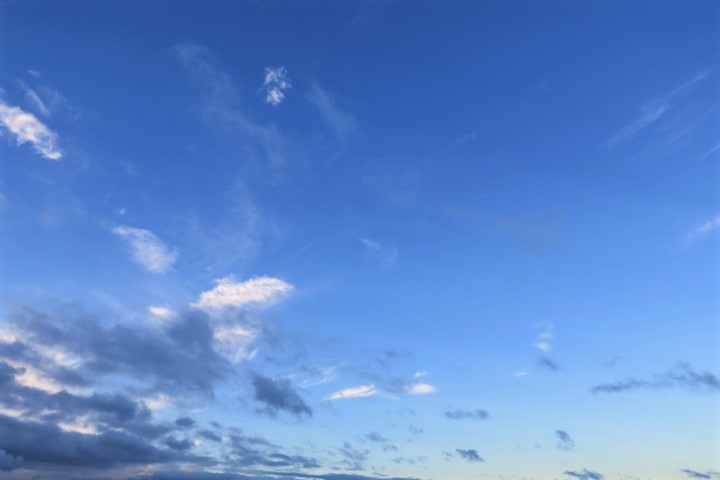 e0300042_23333588.jpg