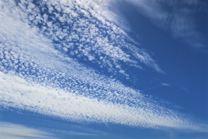 e0300042_23353191.jpg