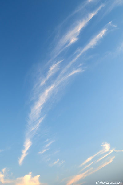 f0351853_05011696.jpg