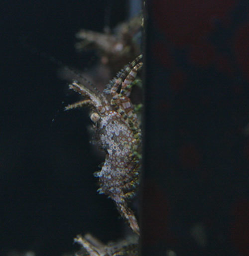 c0165758_21112214.jpg