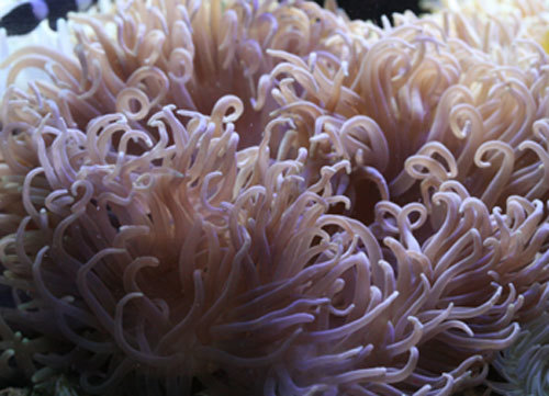 c0165758_21115847.jpg