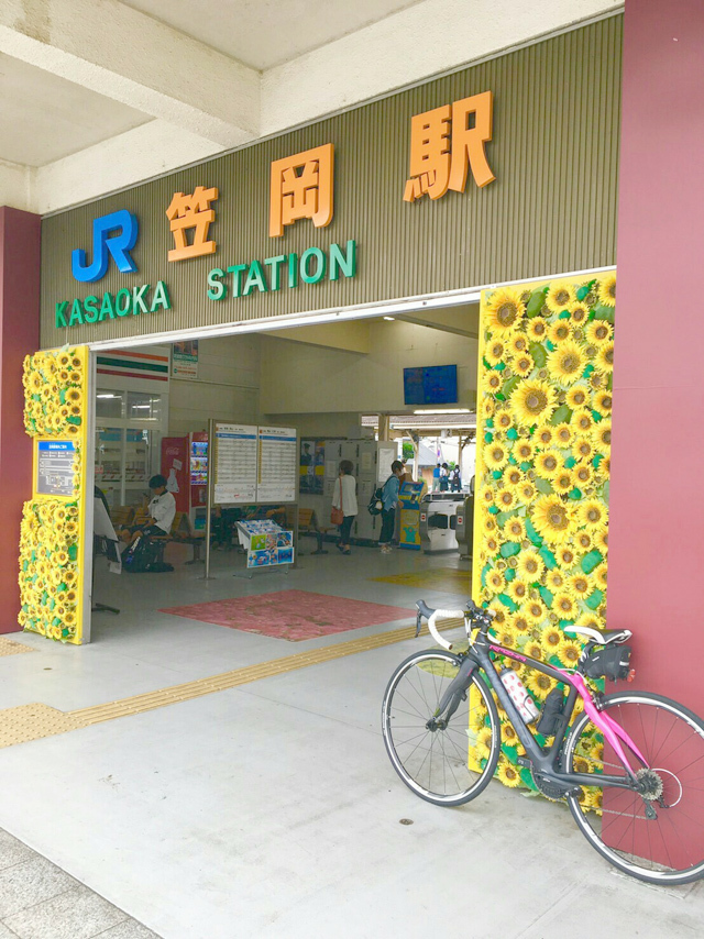 b0353564_15504396.jpg