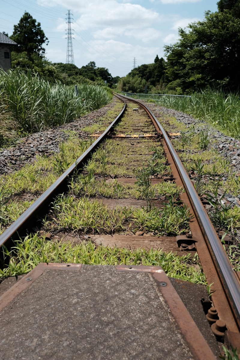 c0084666_22543270.jpg