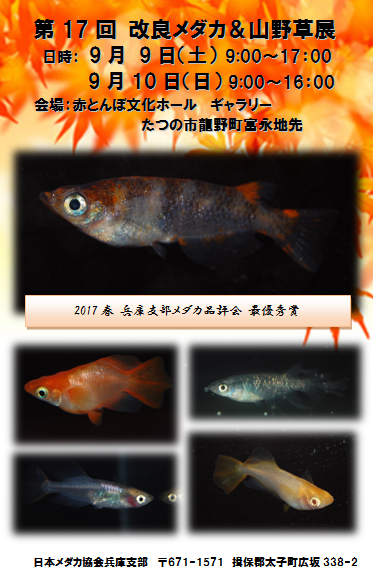 d0107166_13325315.png