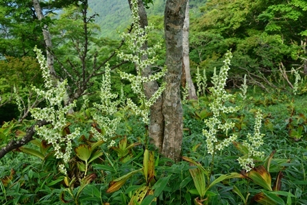 c0303868_08104042.jpg