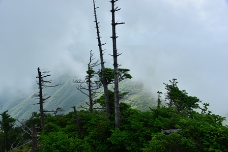 c0303868_08142887.jpg