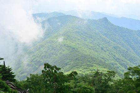 c0303868_08145107.jpg