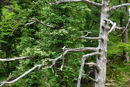 c0303868_08213515.jpg