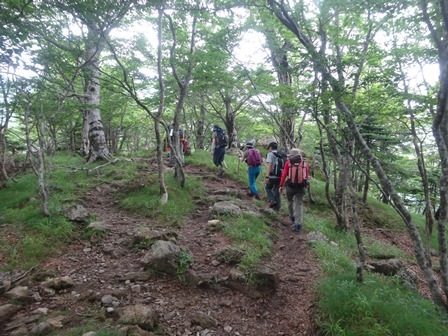 c0303868_08241575.jpg