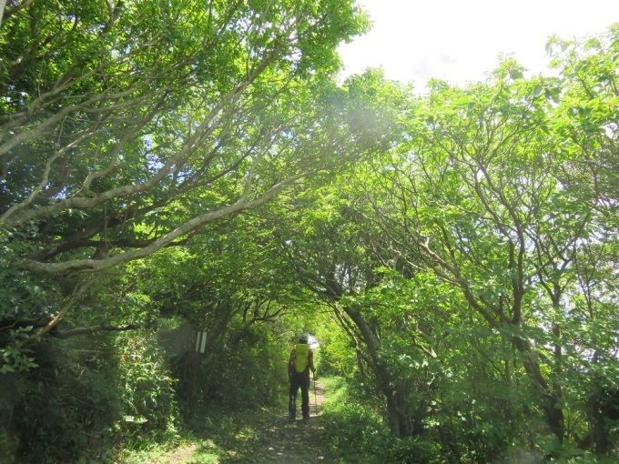 c0042869_07052959.jpg