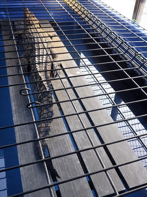 c0105569_00374604.jpg