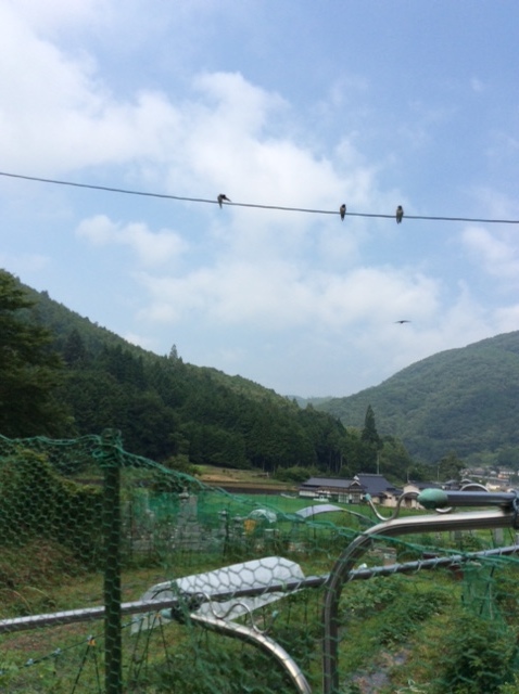 a0234877_16514319.jpg