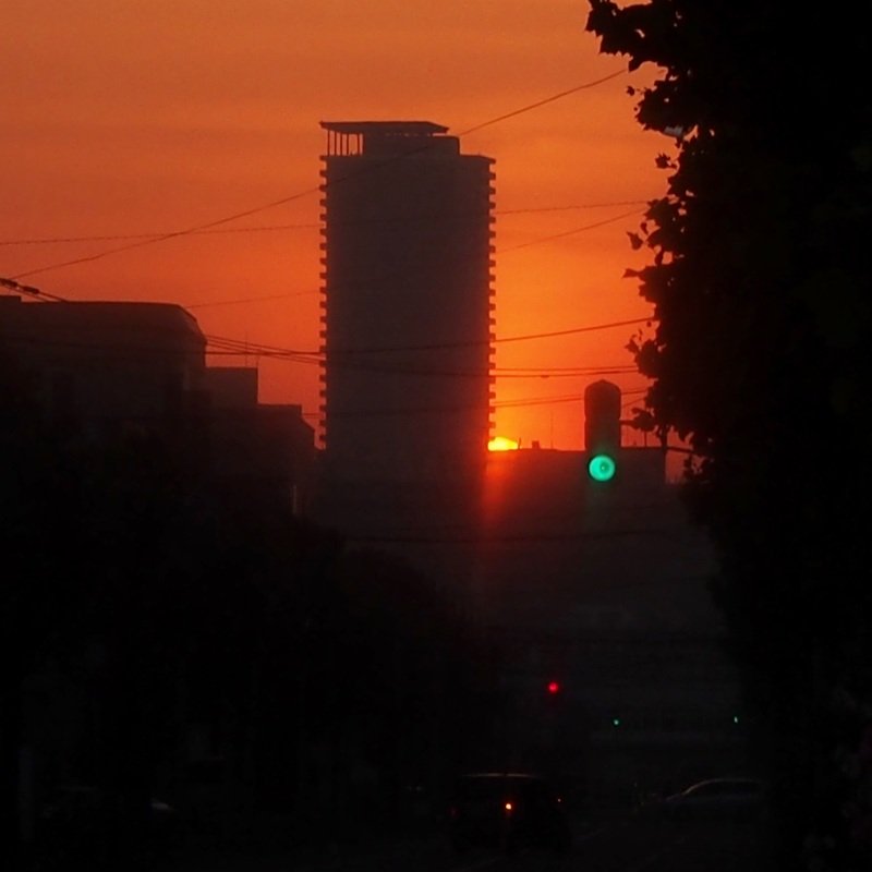 c0183777_2024290.jpg