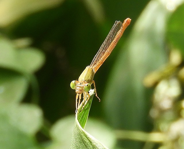 f0378979_15545497.jpg