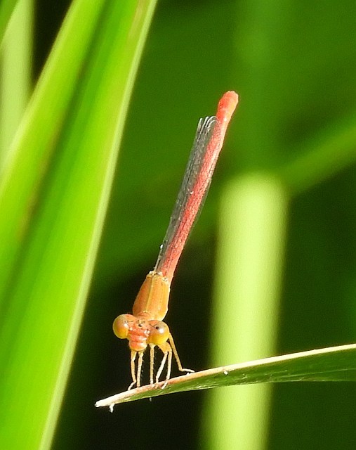 f0378979_15570809.jpg