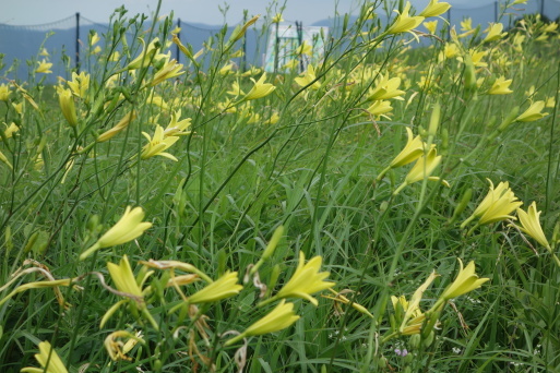 b0159780_09504099.jpg
