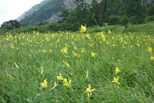 b0159780_09514250.jpg