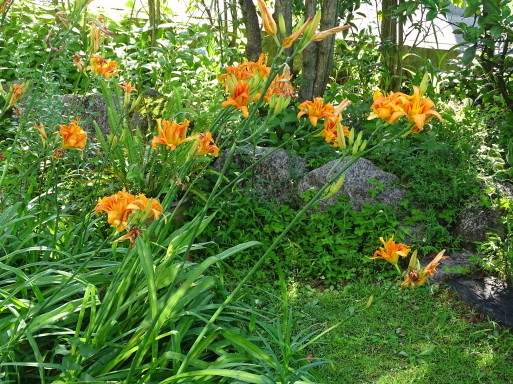 b0159780_10261919.jpg