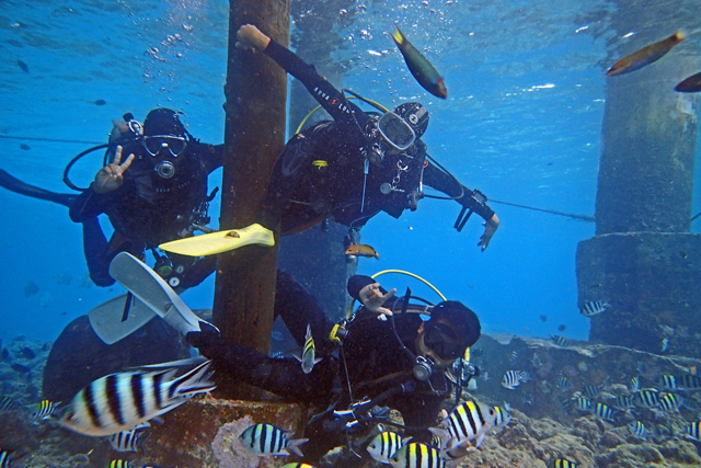 b0137083_20125165.jpg