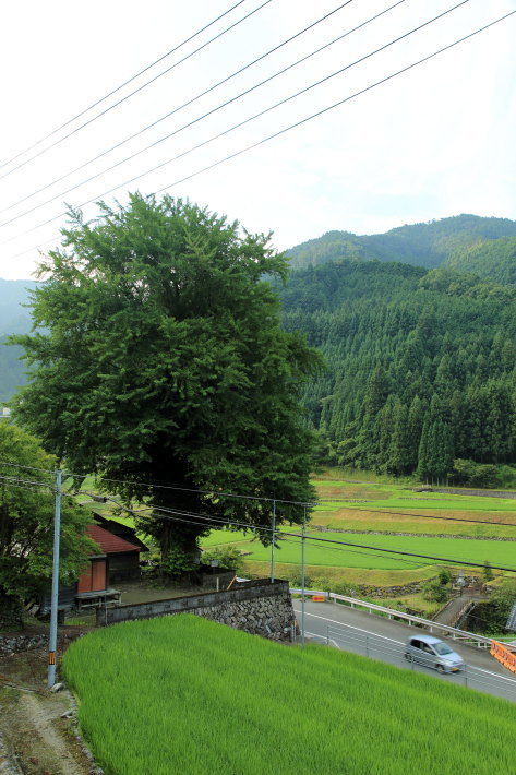 c0358784_17252418.jpg