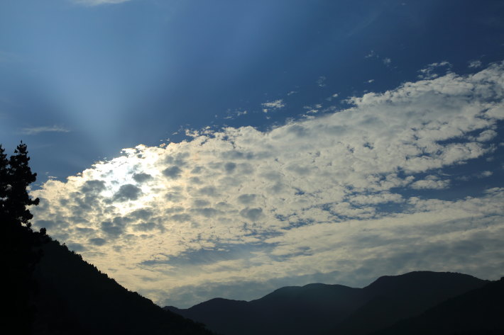c0358784_17264261.jpg
