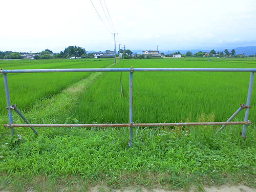 d0247484_1324473.jpg