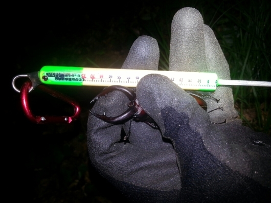 f0183484_05162127.jpg