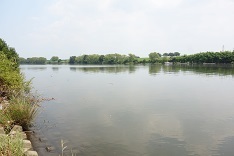 d0183387_11110987.jpg