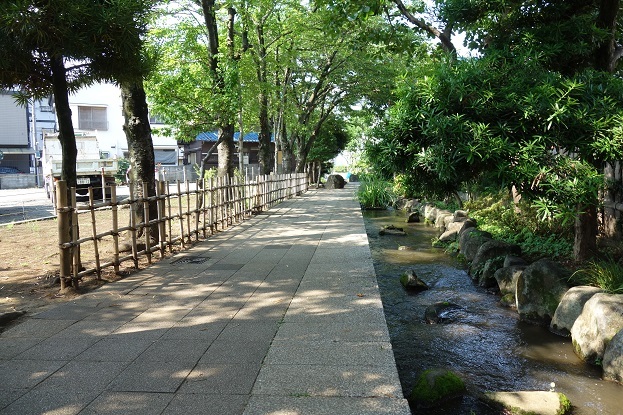 d0183387_12315354.jpg
