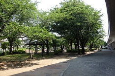 d0183387_13534316.jpg