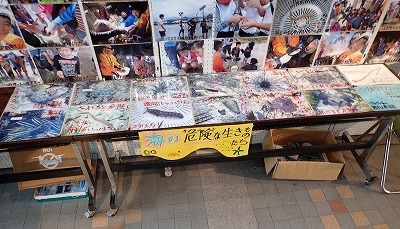 f0338188_23325983.jpg