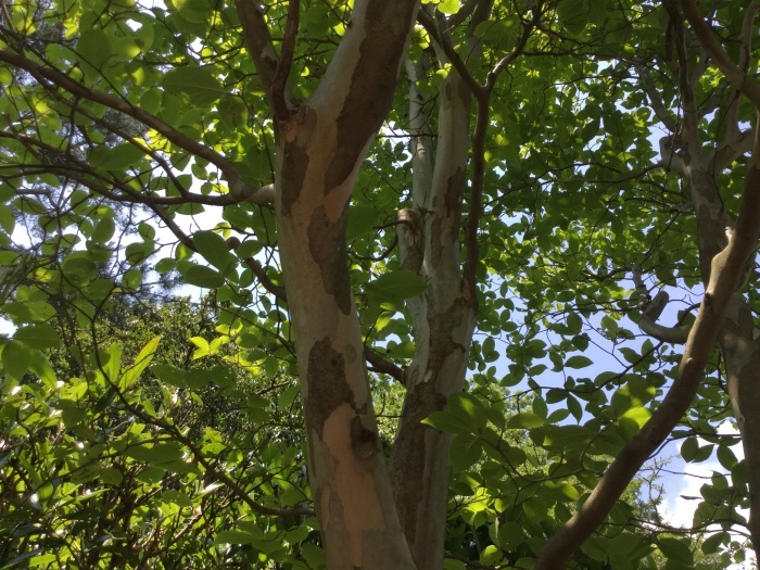 f0268294_10340040.jpg