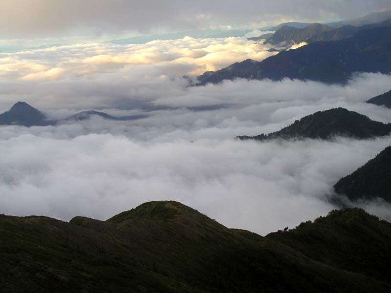 d0102496_07011670.jpg