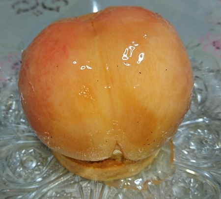 f0033598_20302949.jpg