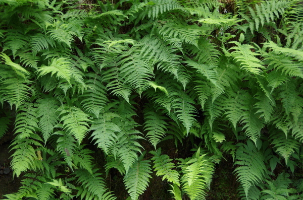 b0356401_23364501.jpg